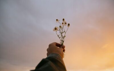 Empresas Resilientes: continuar cuando el fundador ya no está