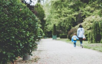 Mediación familiar: cuando el cuidado de los niños recae sobre la madre